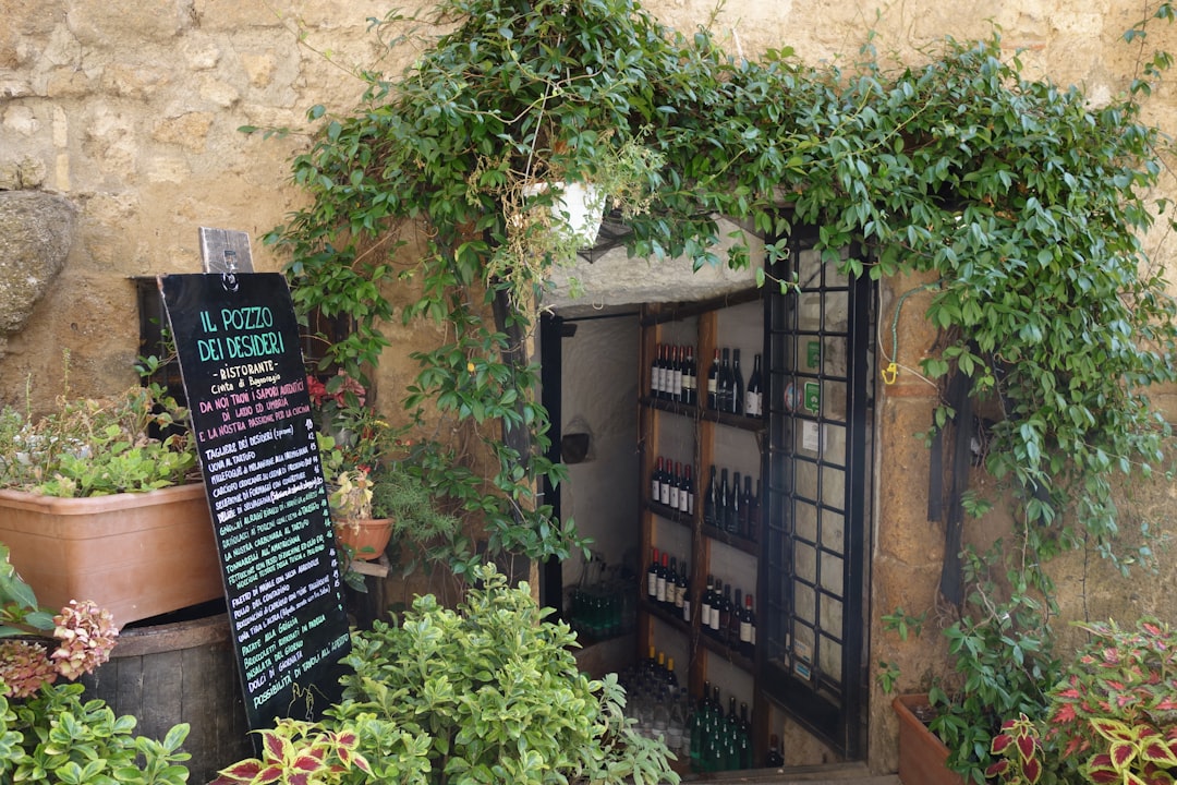 Exploration sensorielle des saveurs uniques du monde