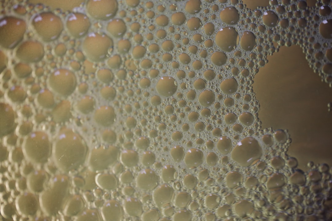 Fermentation maison : tendances et recettes 2026