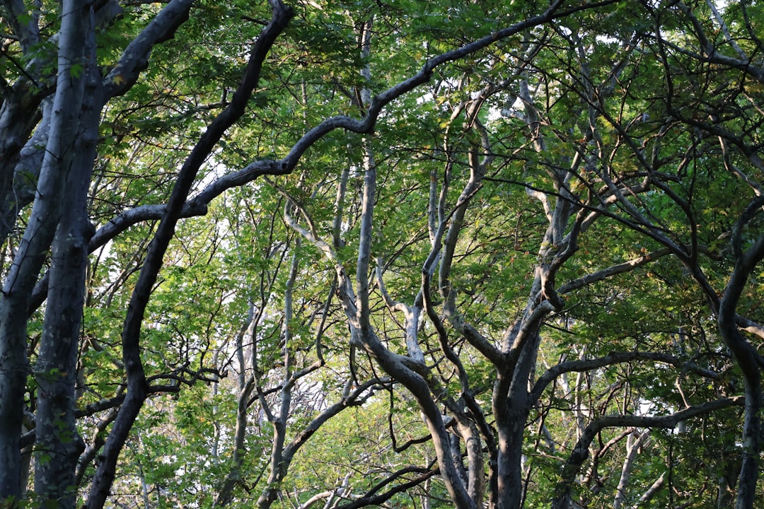 Les plus beaux hôtels écoresponsables de la Riviera Maya