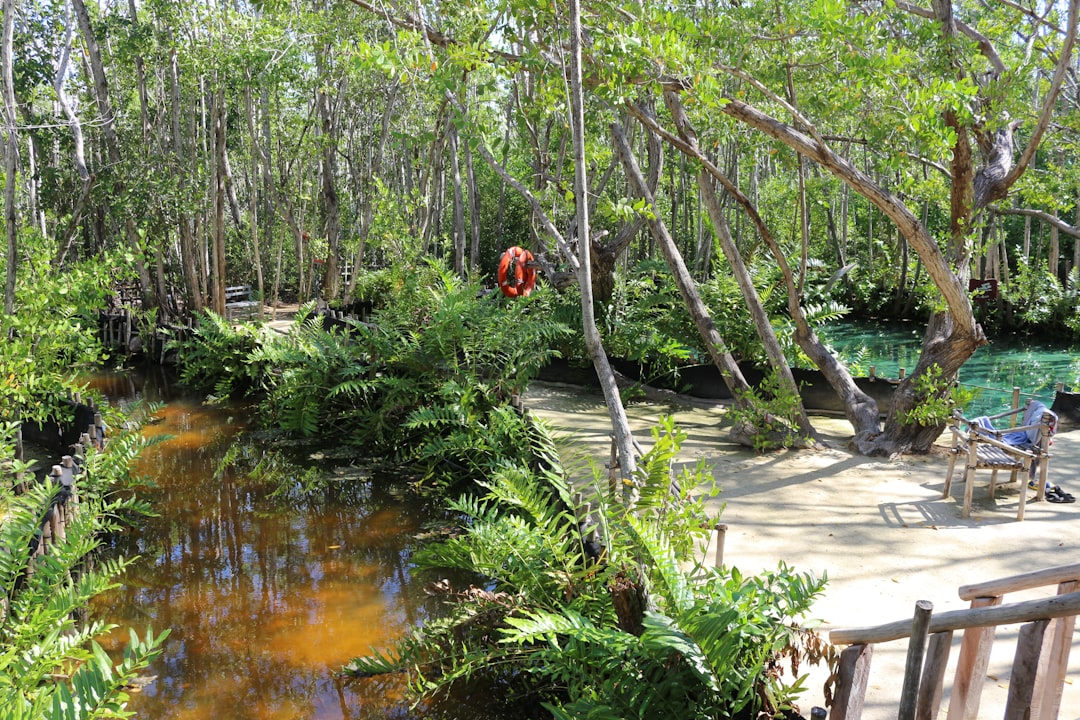 Se reconnecter à soi dans la jungle mexicaine
