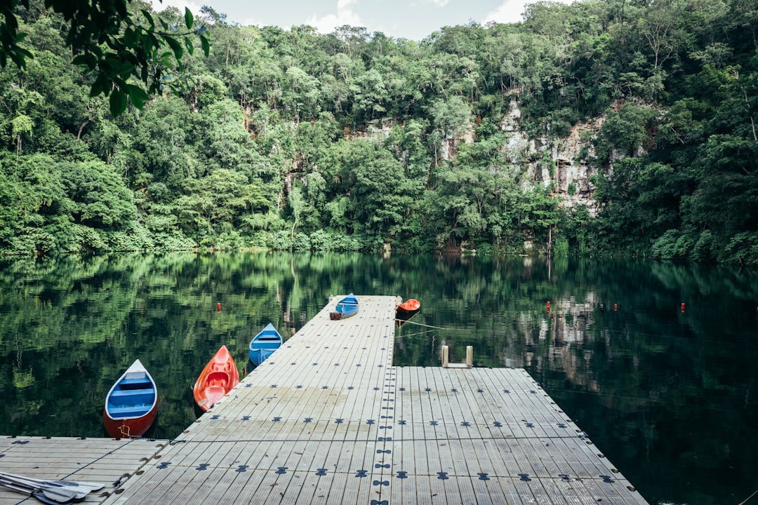 Les cénotes sont-ils dangereux ? Animaux et sécurité sur la Riviera Maya