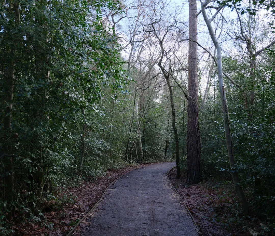 Gérer le stress durablement sans solutions miracles