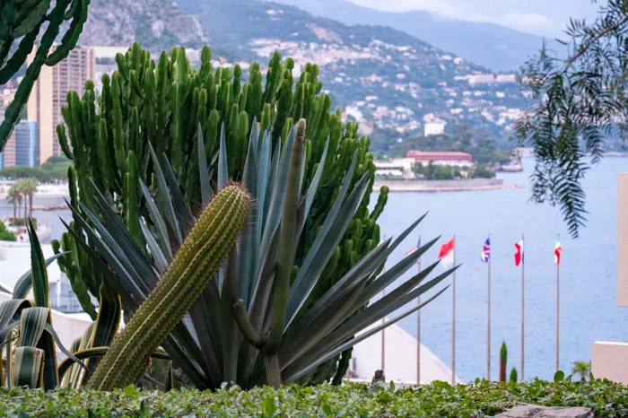 Nature et jardins secrets de Monaco