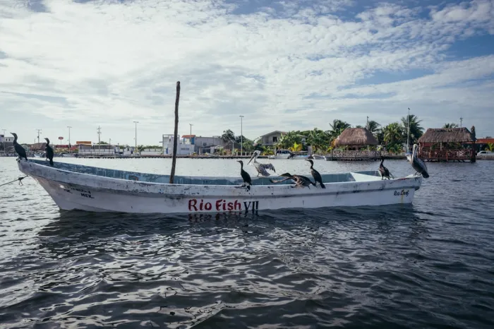 Peut-on pêcher librement dans la Riviera Maya ?