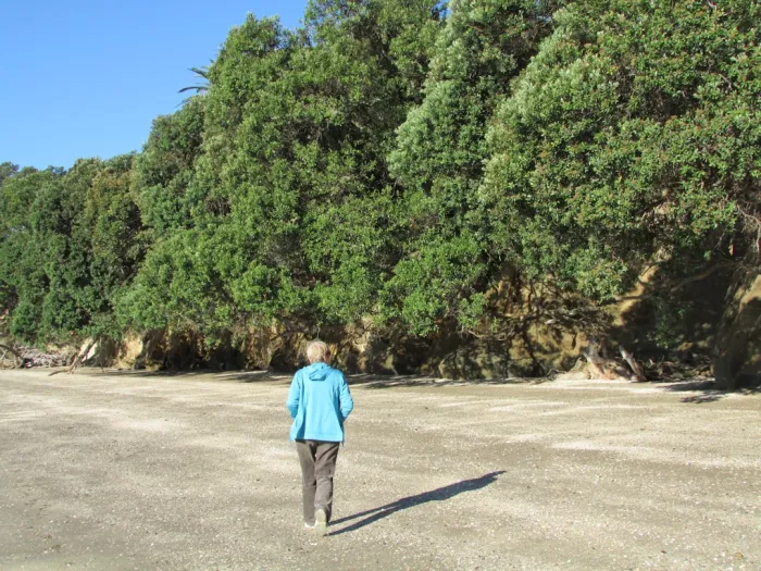 La marche silencieuse : muscler son esprit au rythme de ses pas