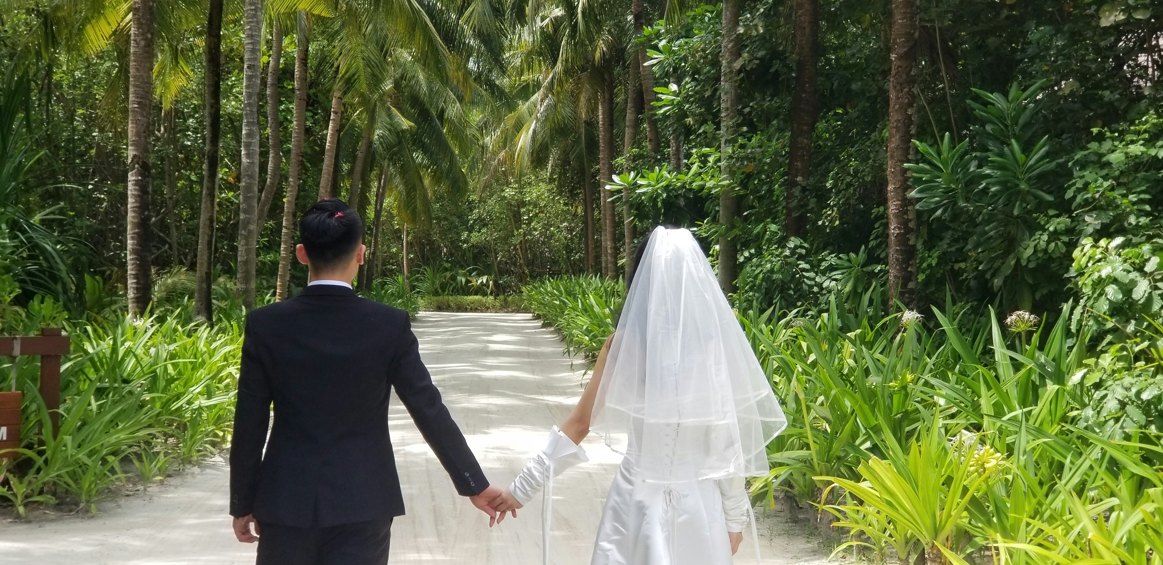 Lune de miel sauvage : pourquoi la jungle est devenue plus romantique que les plages de sable blanc