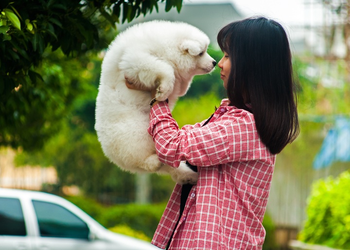 Pets help build social bonds, creating opportunities to connect with other pet lovers.