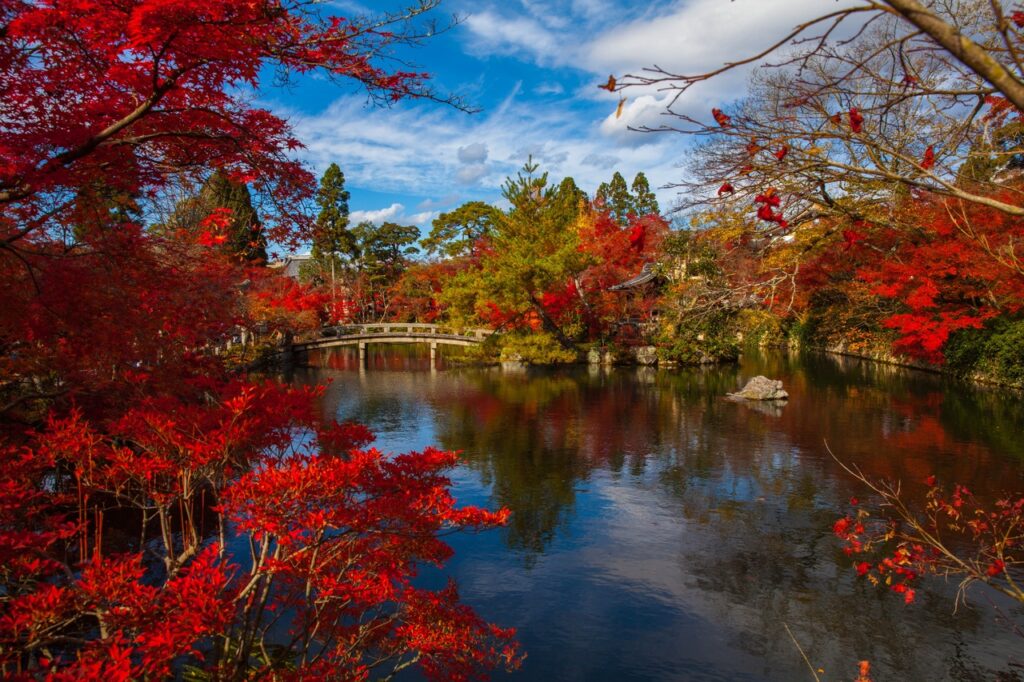 A serene snapshot of Kyoto featuring traditional wooden temples, vibrant cherry blossoms, and the peaceful Arashiyama Bamboo Grove. This cultural heart of Japan blends ancient traditions with stunning natural beauty, perfect for history lovers and nature enthusiasts alike.