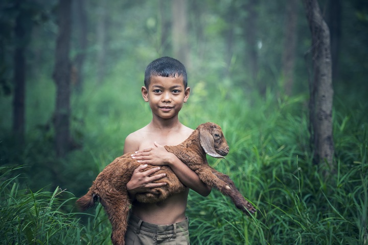 Caring for pets nurtures empathy, responsibility, and life skills for all ages.