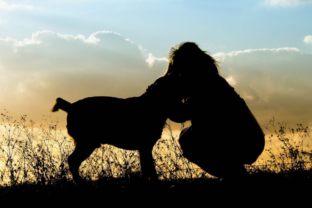 Pets, especially dogs, inspire active lifestyles with regular walks and playful energy.