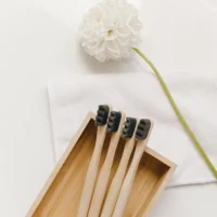 Brosse à dents en bambou biodégradable